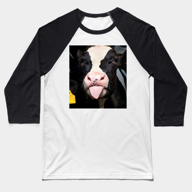 Close Up Of Little Calf Cow Funny Cute Cow Baseball T-Shirt by Karin Wright
